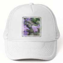 Campanula Flowers Baseball Hat
