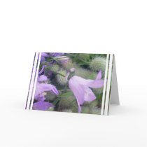 Campanula Flowers Greeting Card