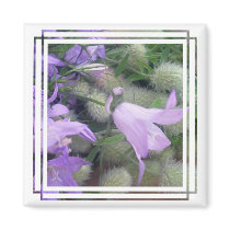 Campanula Flowers Magnet