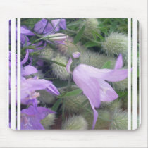 Campanula Flowers Mouse Pad