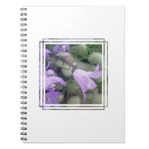 Campanula Flowers Notebook notebooks