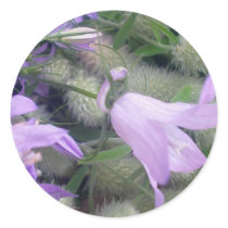 Campanula Flowers Stickers