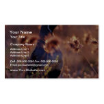 Campbells Quail Pink flowers Business Cards
