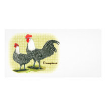Campine:  Silver Custom Photo Card