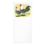 Campine:  Silver Customized Rack Card