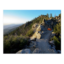 Camping on the San Jacinto Crest Postcards