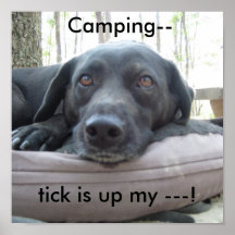 Camping--, tick is up my ---! print