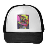Can Din Ski? Hats