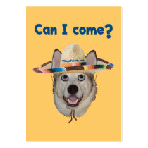 Can I Come Dog