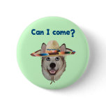 Can I Come Dog buttons