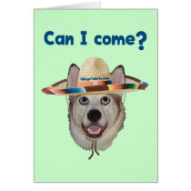 Can I Come Dog