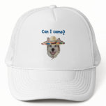 Can I Come Dog hats
