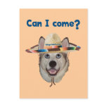 Can I Come Dog postcards