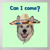 Can I Come Dog