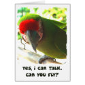 Can You Fly Military Macaw Card