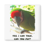 Can You Fly Military Macaw Magnet