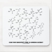 Can You Identify The 20 Amino Acids? (Chemistry)