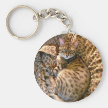 Can you see me? key chains