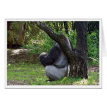 "Can you see me now?" cards
