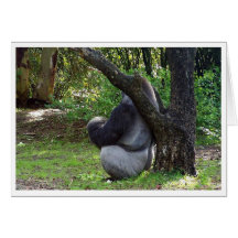 "Can you see me now?" Cards