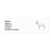 Canaan Business Card Template