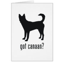 Canaan Card