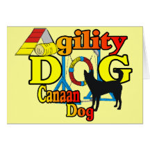 canaan dog agility shirts gifts greeting card