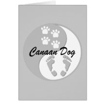 Canaan Dog Cards