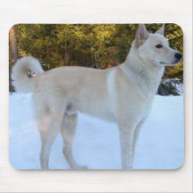 Canaan Dog Mousepad