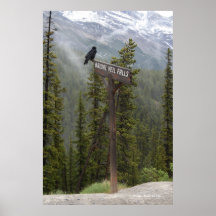 Canada Bridal Veil Falls Raven Print