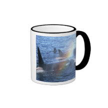 Canada, British Columbia, Johnstone Straight, Coffee Mugs