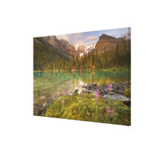 Canada, British Columbia, Yoho National Park. 2 Stretched Canvas Print