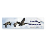 Canada Geese Art Sticker