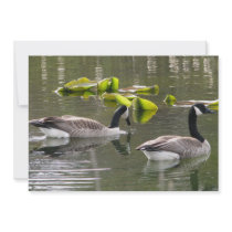 Canada Geese Personalized Announcements