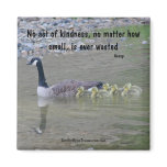 Canada Geese Kindness Positive Affirmations Magnet