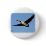 Canada Goose 9R005D-123 buttons