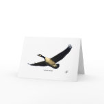 Canada Goose 9R005D-123 cards