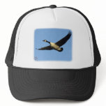 Canada Goose 9R005D-123 hats