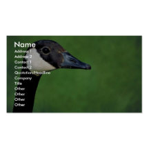 Canada goose business card template