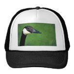 Canada goose hats