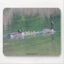 Canada Goose Mum Babies Nature Photo Mousepad