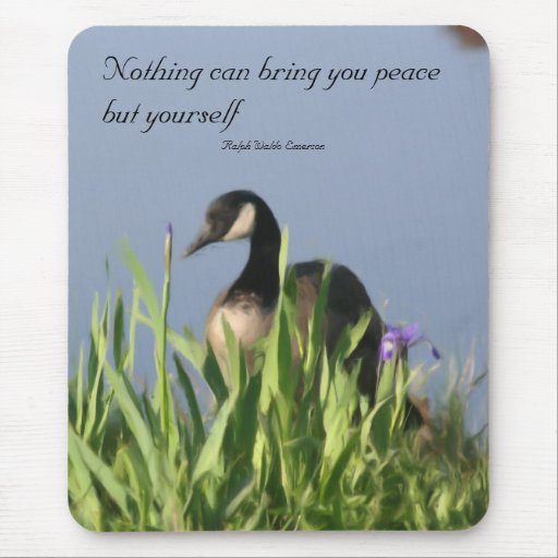 canada geese Quotes