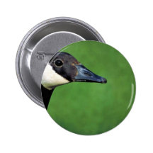 Canada goose pin