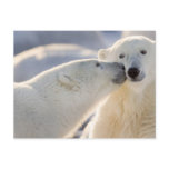 Canada, Manitoba, Hudson Bay, Churchill. Polar Postcard