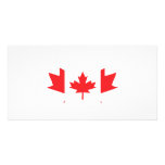 canada maple leaf icon photo cards