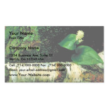 Canada Mayflower Business Card Template