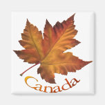 Canada Souvenir Fridge Magnet Canada Keepsake