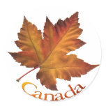 Canada Souvenir Stickers Maple Leaf Stickers
