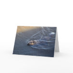 Canadian Beaver Wildlife Greeting Card