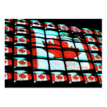 Canadian Flag Profile Card business cards